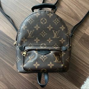 Louis Vuitton mini palm springs backpack